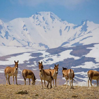 ���ǽ��غ�ʱ��