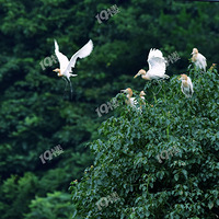 ����ȥ�����ʪ�ؿ�����