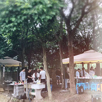 �����ݵ㻧���տ�