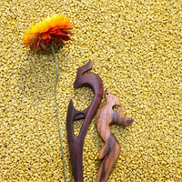 �Լ���Ʋ������ķ���