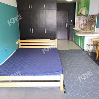 ���� 4������ҽҩ������ �������� ����������һ��һ������