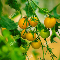 ���ݰ����л�ũ���л��߲�