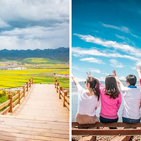 ���������ຣ ����7�ջ��� ��ȴ��� ˿��֮·�ຣ���迨�κ�