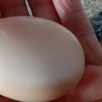 ����������������ѧϰ