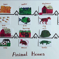 ��My Very First Book of Animal Homes��˼ά��ͼ�汾��չ��ϰ