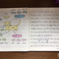 ��˼ά��ͼ�³��ԡ���ָ������Ӣ��д��