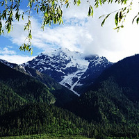 Լ�� ƴ�� ����  8/3�ų��� �г�11�죬����318.