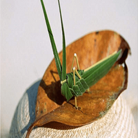 �Ž�ů���ֹ�diy���ջ�|����������ֹ��