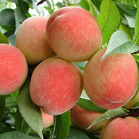 ֭�౬����л�ˮ���ң�����ֻ����һ���ˣ�