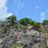 ���������죬ʢ���ռ�������