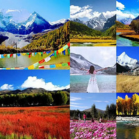 ���һ��ȥ���������������������