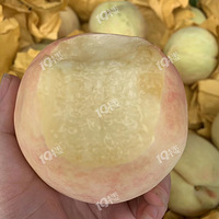 ˮ���Ҳ�ժ������