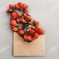 Ŭ����Ϊ���õ��Լ�