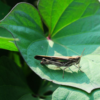 ϣ������Ұ