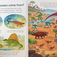 ��Щ����ֵ��Ȥζ�Ŀ����飬 ���Ҽ�Ů�������