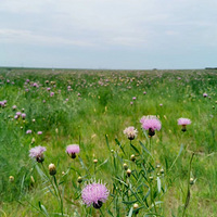 �簲������