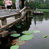 ����¥̨�˼żţ��ɻ�ͥԺ������