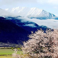 ����˫���ɶ��飬����ʿ��������������ؽ��ϡ�������ȥ