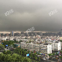 ����ǰ�������ץ�ĵ�