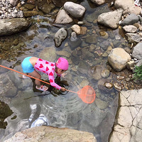 ����ʥ��