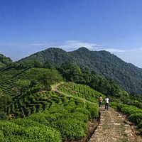 �������������·����һ��