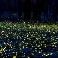 ���ձ����ǳ����ı���أ���һ��Ѥ���ǿ���ө��潻֯�����죡