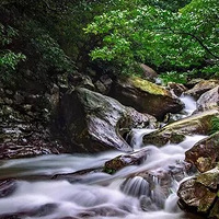 ��Ԣɽ����������������ɽ����