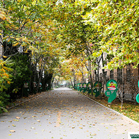 ��ˮ��ѧУ�����������ˣ�Ӧ��������ģ�������Ҳ�ܡ����ʡ���