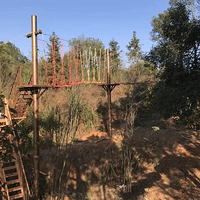 2019�����Ρ��������⡿��̽����¹��