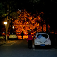 ��ɳ��ҹ��