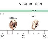 ��������һ����õ�����