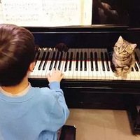 ����ѧ���롰��;���ϡ�����һ�ѣ���������ѡ��