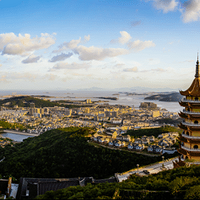 2019����һ�ģ�����������չ��--�ɽ��