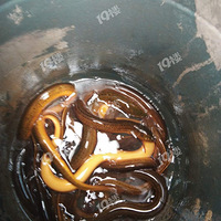 ũ��������������