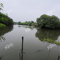 ÿ�춼�Ǻ����������飬���Ѿۼ��ص�������Ұ�Ӵ������ģ���ӭ