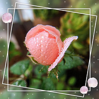 һ��һ����