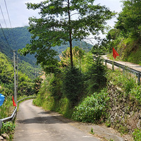 ��ľ�Ӵ��и�ɽ��÷һ