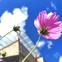 ������ɽ֮��;�м�¼