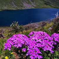 �ؾ�Ī˹��̽ѰС��