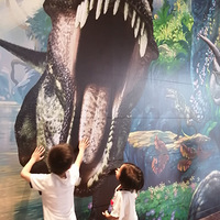 ���޵Ķ������硿+�������