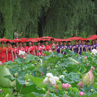 ���  ����������