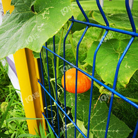 �������һ�С�