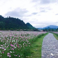 ���ؼ�ר����7��28����Ŀ����Ư����130���вͣ�