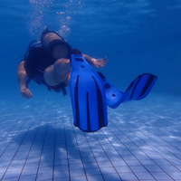 ��һ����һ������ĩ����ˮ�ϵ�ˮ�¡�