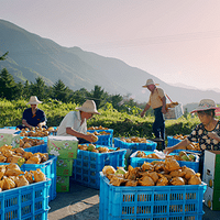 �ຼ��������ʮ��������ڿ�Ļʽ