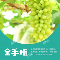 ���ݶ��޵��������Ӳ�ժ