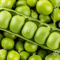 ����Ĵ���