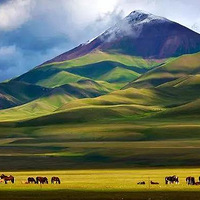 �뿴ɭ��ѩɽ��ԭ��ڣ�ȥ�½���һ����������