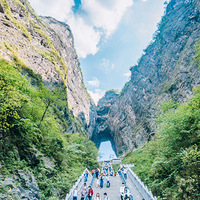 �żҽ����α������յĳ����ֲ�