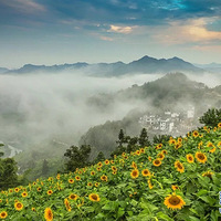 ��ɽ���ʯ̶���տ���Ҫ������